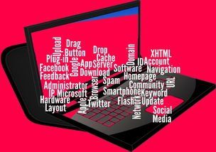 九游官网首页-CBA开展球员社交媒体管理课程提高职业素养，运动员社交媒体